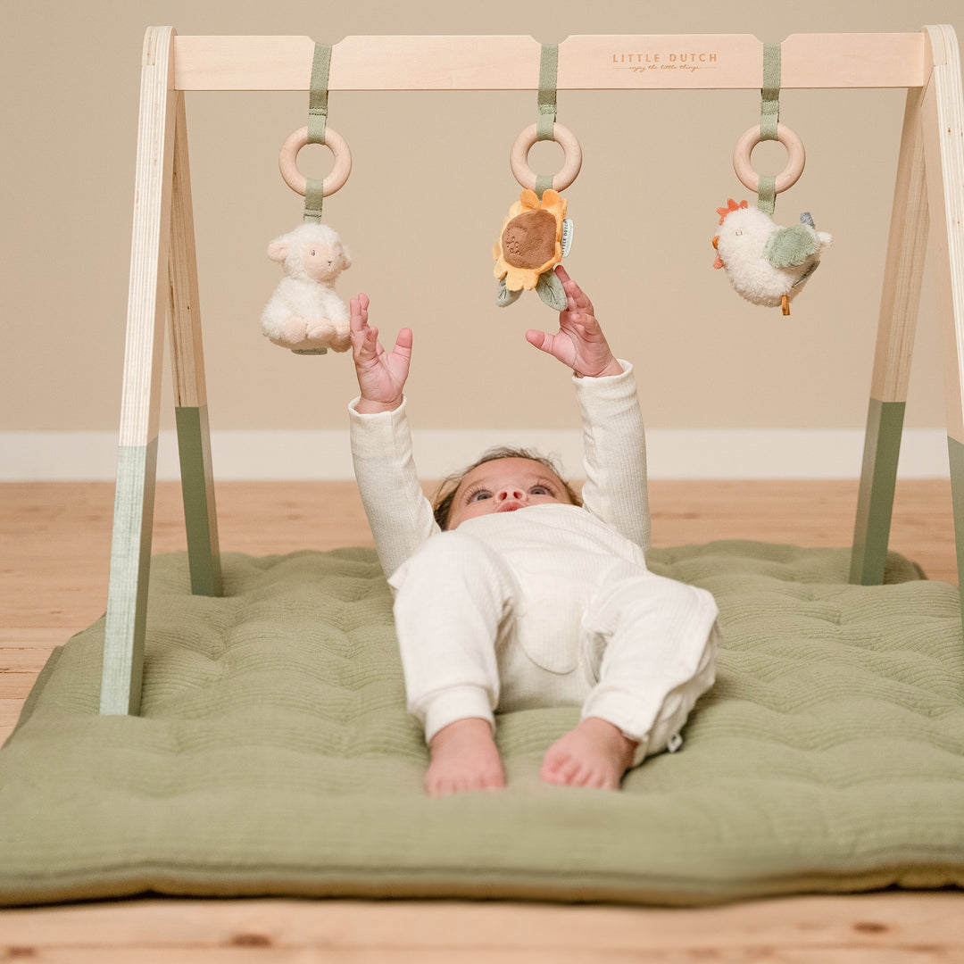 Little Dutch Little Farm Baby Gym Activity Mat